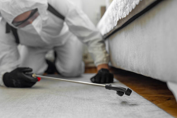 Professional Cockroach Control technician working in Saticoy, CA